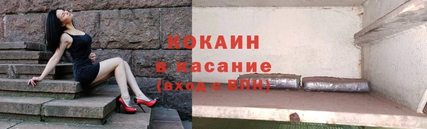 сатива Бородино
