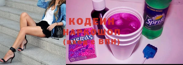 сатива Бородино