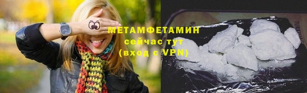 сатива Бородино