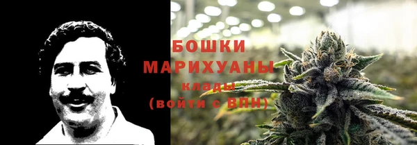шишки Бронницы