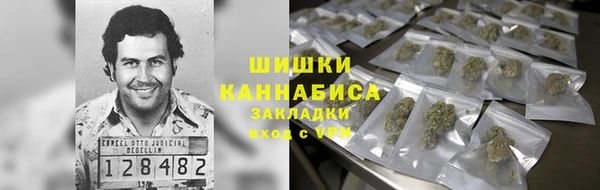 сатива Бородино
