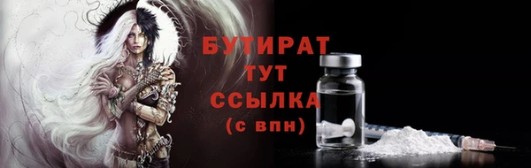 сатива Бородино