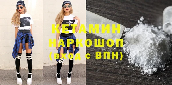 сатива Бородино