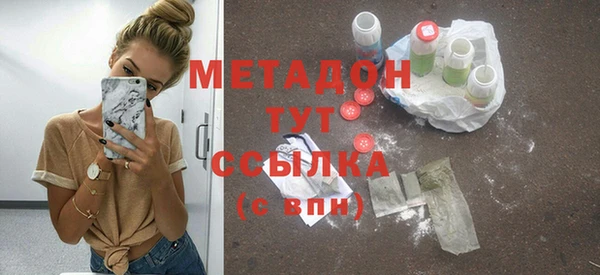 сатива Бородино