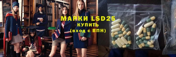 шишки Бронницы